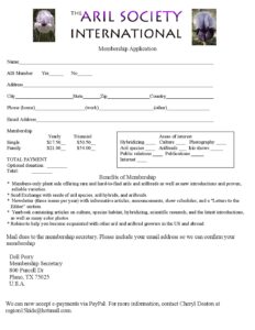 PDF Preview